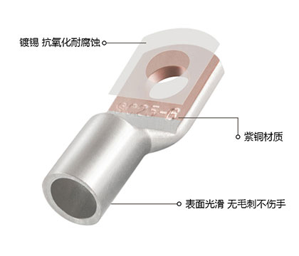 镀锡铜鼻子